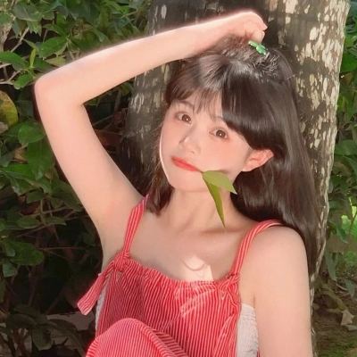 文明对话国际日庆祝活动在布加勒斯特举办